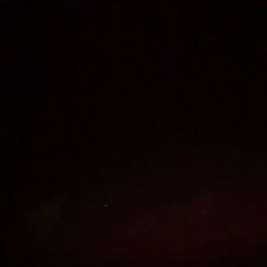 Meet your Posher, Alina